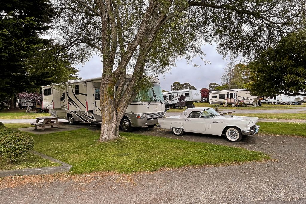 RV and classic car parked under a large tree with grassy field and picnic table